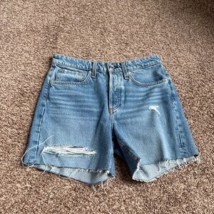 NWOT Rag & Bone Rosa Shorts